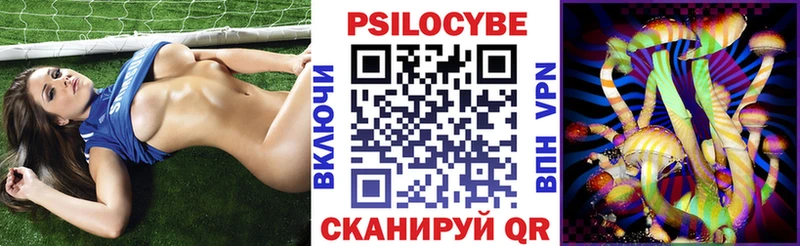 как найти закладки Курлово Галлюциногенные грибы Cubensis