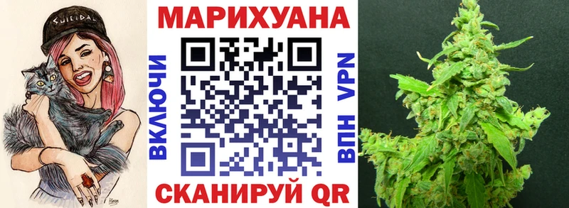 где найти   Курлово  Каннабис семена 